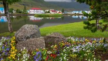 8 Best Small Towns in Iceland for Stunning Landscapes, Hearty Fare, and Northern Lights Views