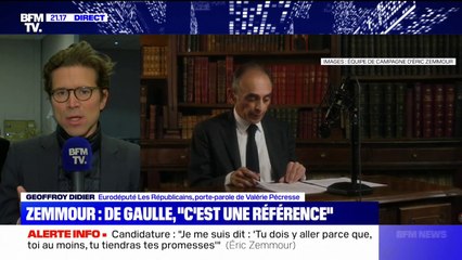 Pour Geoffroy Didier, Éric Zemmour "ne dresse jamais de solution et ne porte jamais un espoir"