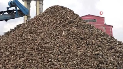 Muş ekonomisine 350 milyon liralık 'şeker katkı'