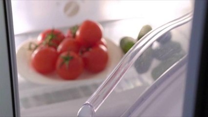 You Might Not Be Using Your Refrigerator Properly