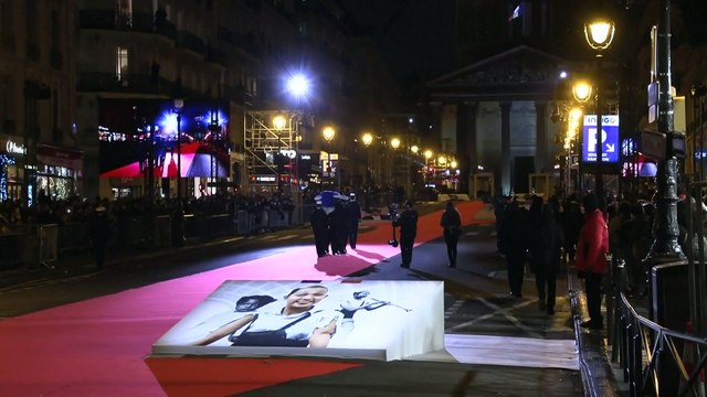 Día histórico en Francia con la entrada de la artista y espía Josephine Baker en el Panteón nacional