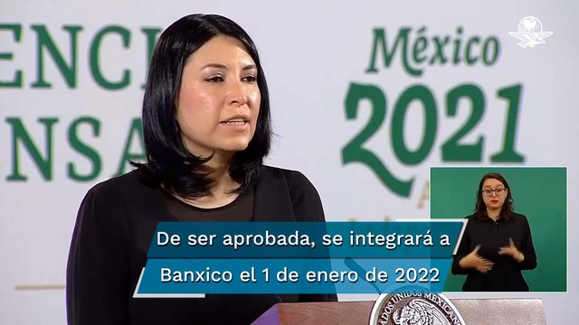 Comparecerá este miércoles en el Senado Victoria Rodríguez Ceja, propuesta por AMLO para Banxico