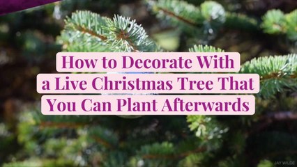 How to Decorate with a Live Christmas Tree That You Can Plant Afterwards