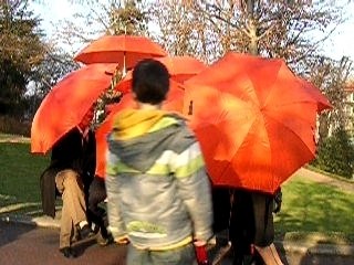 Les idiots dans la rue au jardin public