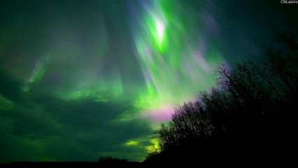 Real-Time Walk Under Northern Lights in Alaska