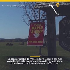 Encontrar jarabe de maple podría llegar a ser más complicado este invierno