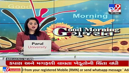 Heavy to very rainfall predicted in parts of Gujarat on Dec 1,2; Authorities on alert _ TV9News