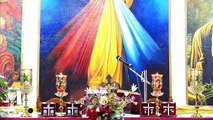Catholic Mass Today I Daily Holy Mass I Wednesday December 1 2021 I English Holy Mass I 5.00 AM