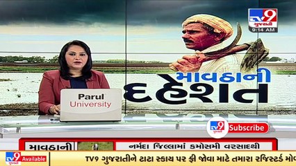Unseasonal rain in parts of Kheda, farmers worried _ TV9News