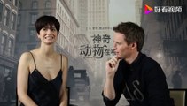 酷派 Fantastic Beasts and Where to Find Them: Eddie Redmayne & Katherine Waterston Interview