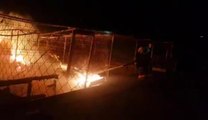 Ankara'da gönüllülerin inşa ettiği hayvan barınağında korkutan yangın