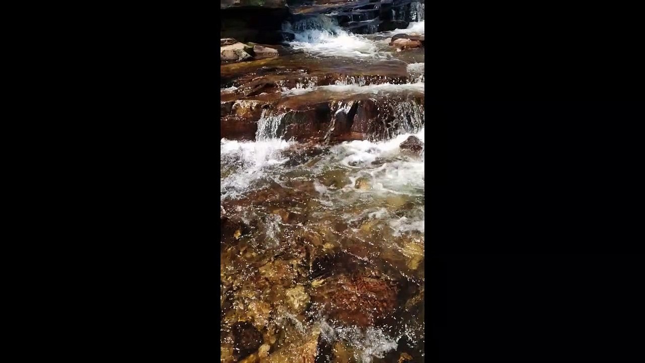 Asmr ambient and nature sounds to relax you (slow motion 2)/Asmr sonidos ambientales y de la naturaleza para relajarte (cámara lenta 2)