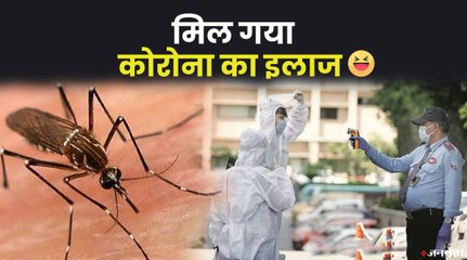 देश में बढ़ रहे डेंगू के केस पर सुनिए अलोक पुराणिक का व्यंग्य, कैसे खत्म हो गया कोरोना ! | Dengue Cases India