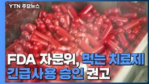 美 FDA 자문위, 먹는 코로나19 치료제 긴급사용 승인 권고 / YTN