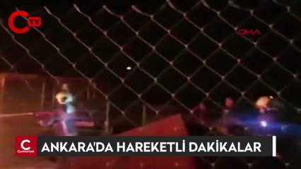 Gönüllülerin inşa ettiği hayvan barınağında korkutan yangın