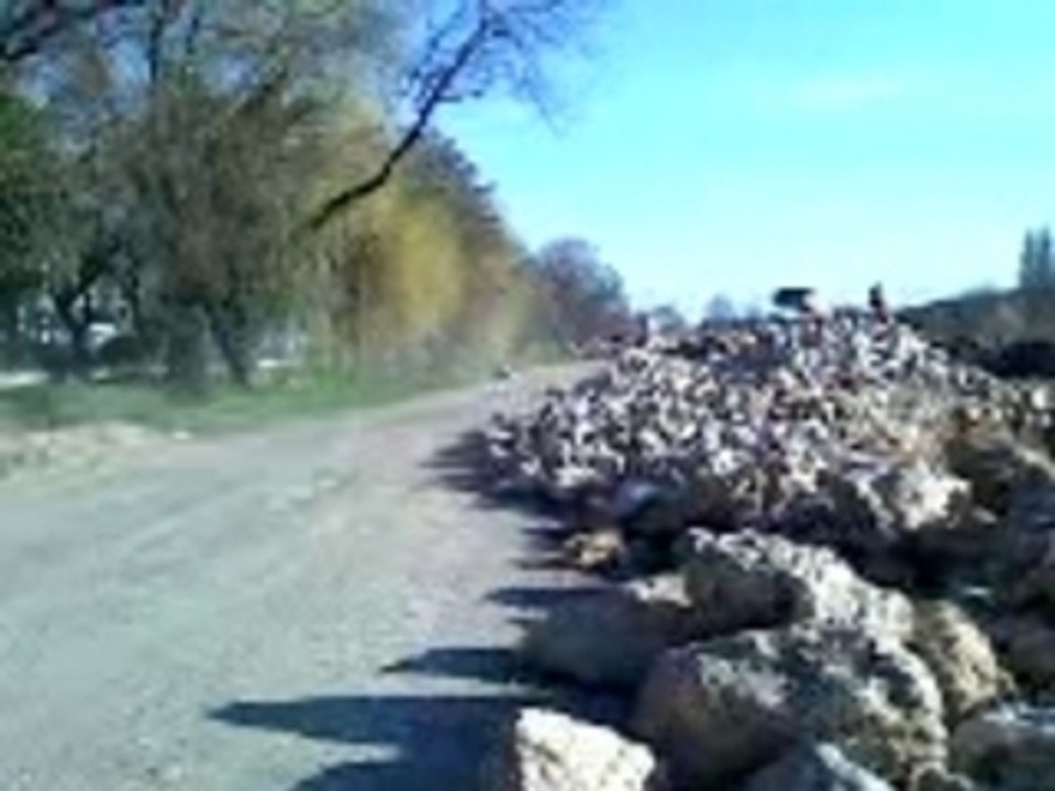 Moi en 450 sx