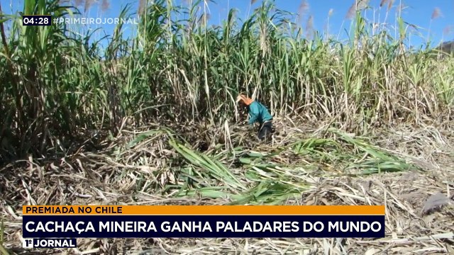 A produção de cachaça artesanal está melhor a cada safra. A bebida é premiada e reconhecida internacionalmente. Veja na reportagem de Felipe Bambace.