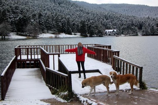 Gölcük'te kar güzelliği