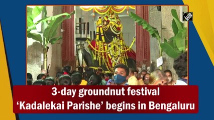 3-day groundnut festival ‘Kadalekai Parishe’ begins in Bengaluru