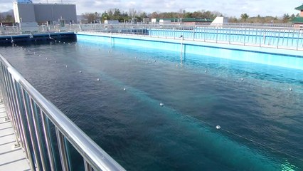 충남 서부 지역에 대청댐 물 공급...고질적인 '갈증' 해소될 듯 / YTN