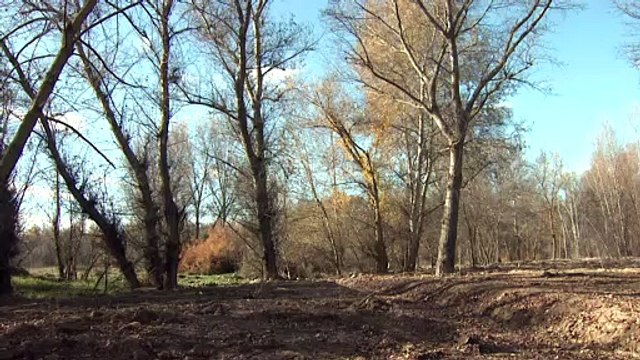 Un proyecto se propone devolver al río Jarama 500 millones de litros de agua