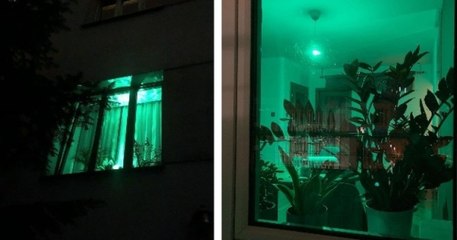 Des Polonais allument une lumière verte dans leur logement pour signifier qu'ils peuvent accueillir des réfugiés