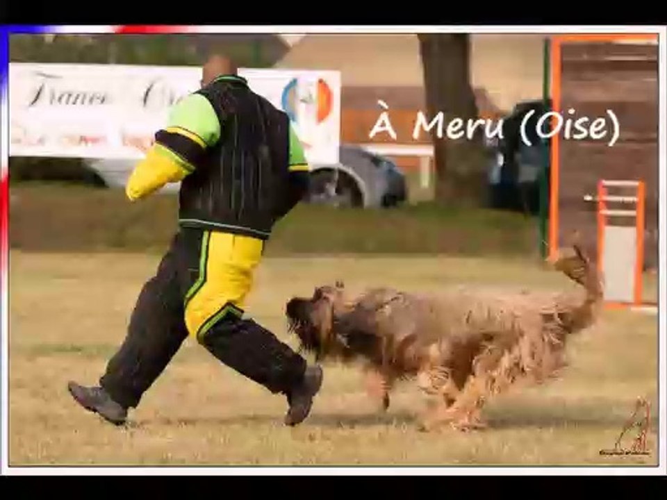 RING : Grand prix de France SCC 17 octobre 2021