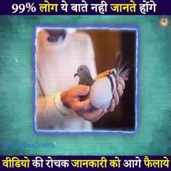 ---पेड़-पर-उग-रहे-है-पैसे-----देखकर-आखे दग रह गयी