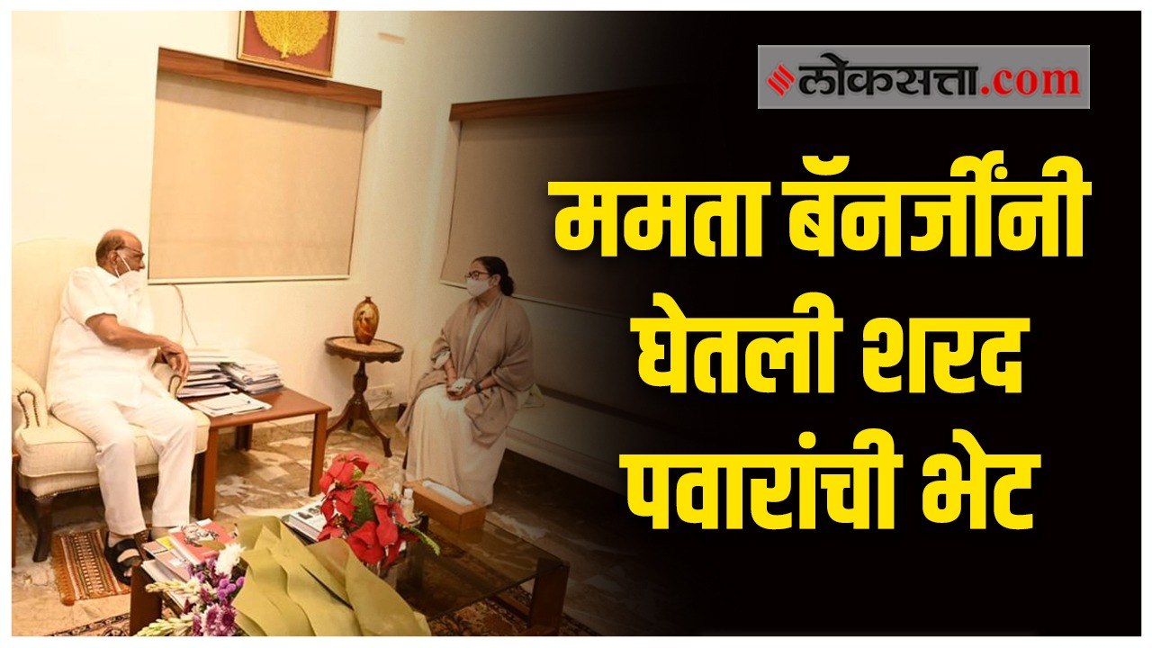 शरद पवार-ममता बॅनर्जी बैठकीत काय घडलं?; पवारांची भेट घेण्यासाठी ममता बॅनर्जी सिल्व्हर ओकवर दाखल