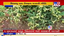 Gir-Somnath _ Farmers fear crop failure following unseasonal rain_ TV9News