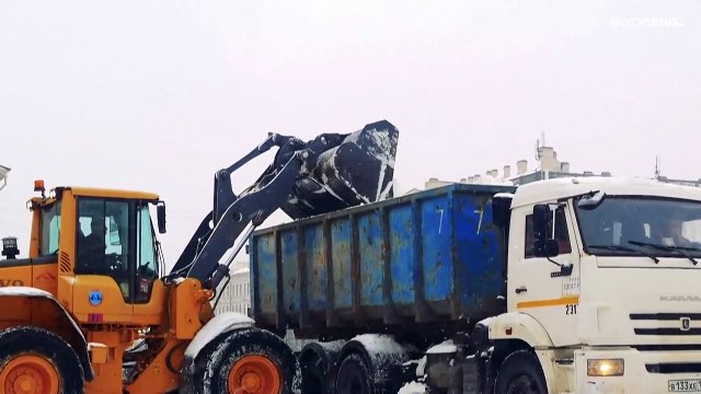 Снег парализовал Северную столицу