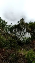 Une randonneuse fait une chute de dix mètres sous le MaÎdo