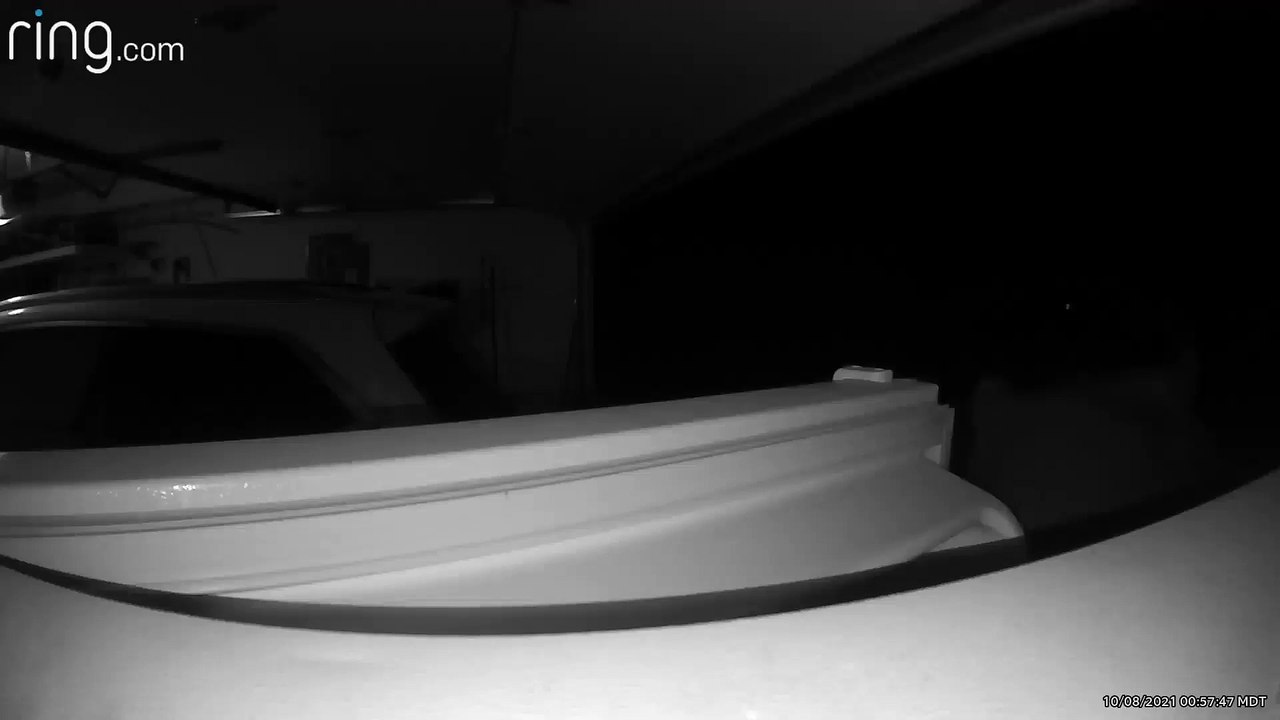 Bear Raids Garage Freezer