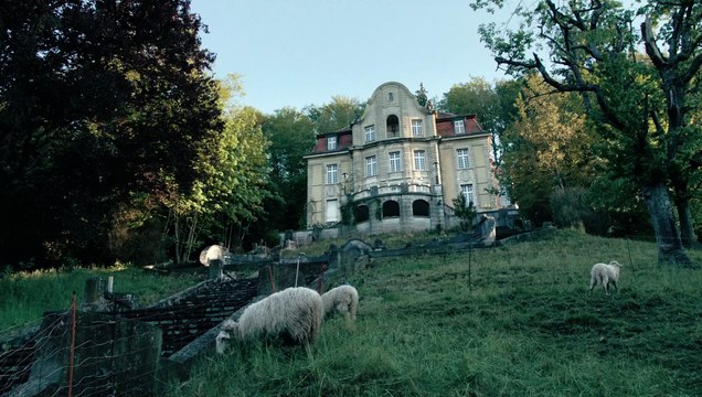 Pájaros enjaulados (Hasta que estemos muertos o libres) - Tráiler oficial VOSE