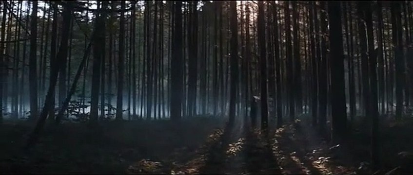 Bande-annonce de Pig avec Nicolas Cage