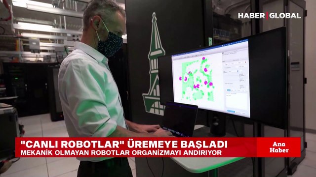 Mekanik olmayan canlı robotlar üremeye başladı