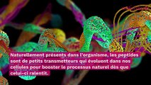 Les peptides : champions de l’anti-âge ?