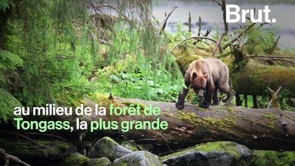Les grottes du glacier Mendenhall