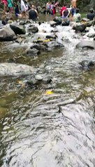 water falls
