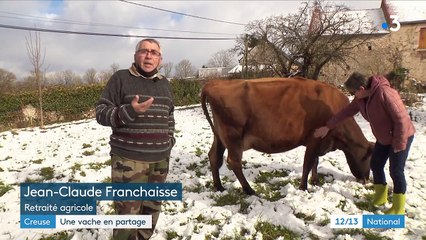 Creuse : plusieurs habitants adoptent une vache pour produire leur propre lait
