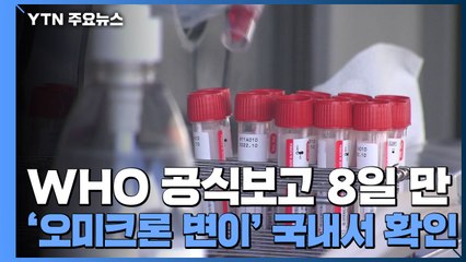 WHO 공식보고 8일 만에 국내 확인...오늘도 5천 명대 확진 / YTN