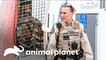 Polícia ambiental busca guaxinins perto de loja | Patrulheiros da Natureza | Animal Planet Brasil