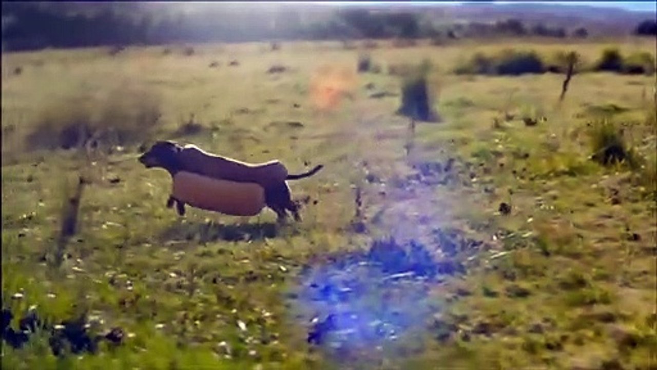 HEINZ - Meet the Ketchups