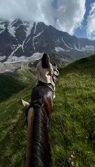 Horse Ride With Beautiful Mountain Views