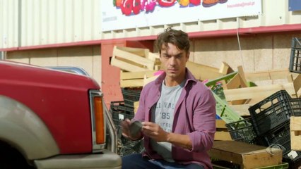 É bem estranho esse sumiço do Pipo...Deve estar muito magoado