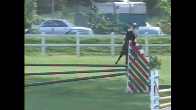 Mes chevaux et moi en concours