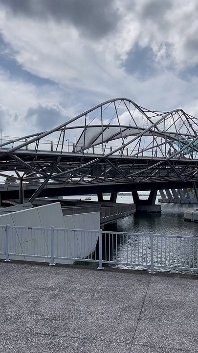 Singapore cycle | Anthony S Casey Singapore