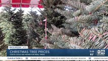 Christmas trees may be harder to find and more expensive this year