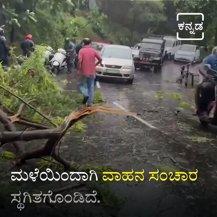 See How Heavy Rains Collapsed and Damaged Tirumala Hills and Roads