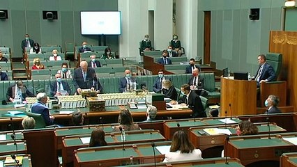 Prime Minister responds to investigation of Education Minister